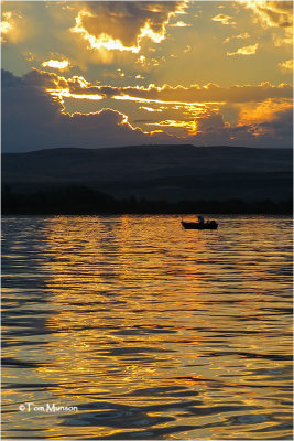 Salmon Fishing