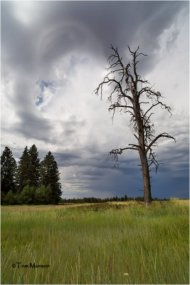 Turnbull NWR