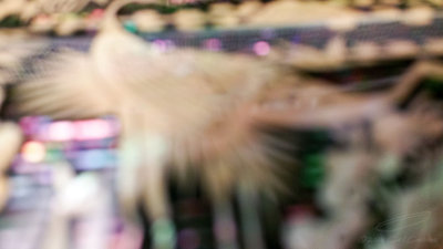 03/23/2016 - Note4_070836.jpg