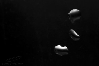 01/10/2017 - _MG_3388.jpg