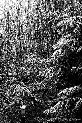 01/24/2017 - _MG_3419.jpg