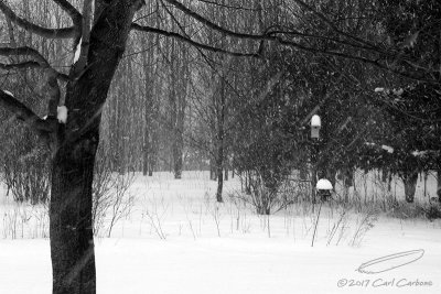 02/03/2017 - _MG_3437.jpg