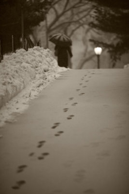 _MG_1268.jpg