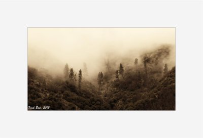 Sequoia National Park