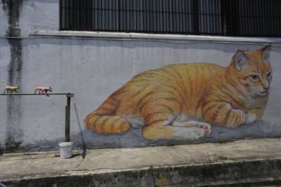 cat2 jpgsml.jpg