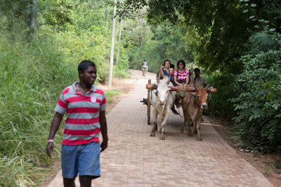 Sri-Lanka-033-Habarana-Do-Village-Bullock-Ride.jpg