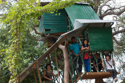 Sri-Lanka-101-Yala-Tree-House.jpg