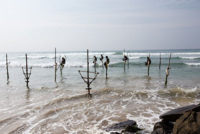 Sri-Lanka-160-Fishing-on-Stilts.jpg
