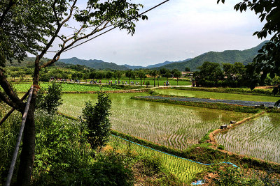 Hahoe Village in Andong