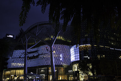 Ion Orchard