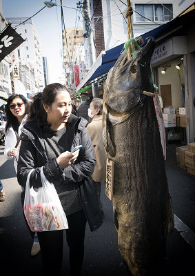 Tsukiji Fish Market-Tokyo