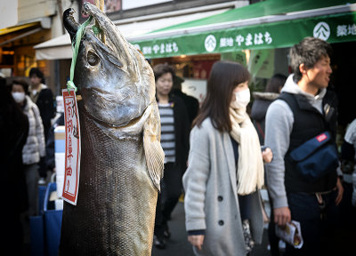 Tsukiji Fish Market-Tokyo