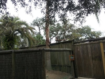 20130117_151907.jpg
