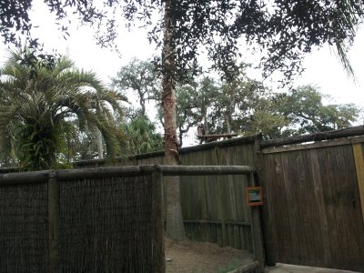 20130117_151910.jpg