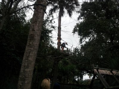 20130117_153835.jpg