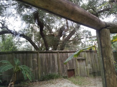 20130117_154009.jpg