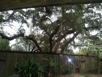 20130117_154023.jpg