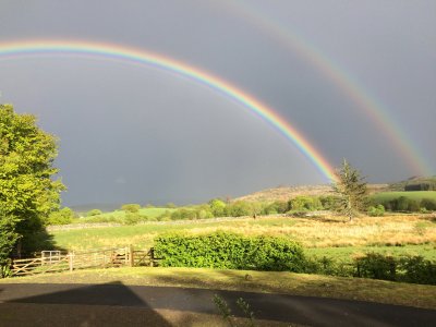 image2.JPG
