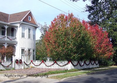 Vermilion Parish - Abbeville - historic district  fall colors