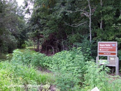 St Mary Parish - Burns Point - Bayou Teche NWR