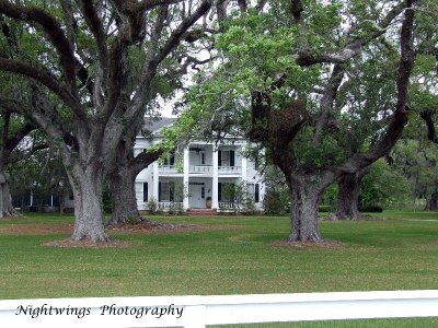 St Mary Parish - Garden City  -  Bocage on the Teche