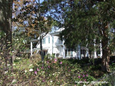 Acadia Parish - Estherwood - Hoffpauir house