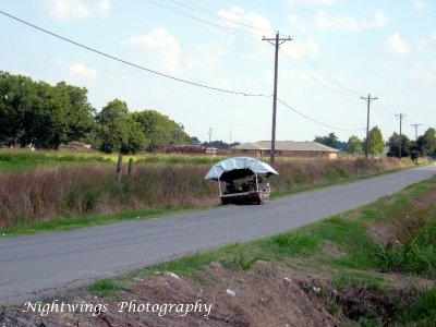 Acadia Parish - rural Rayne - crawfiash boat