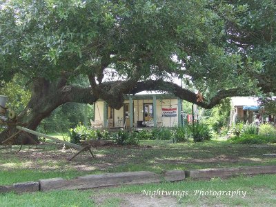 St Landry Parish - Opelousas - Mud house