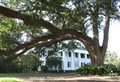 St Landry Parish - Opelousas Dubisson