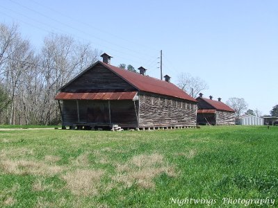 St Landry Parish - Arnaudville  historic barns