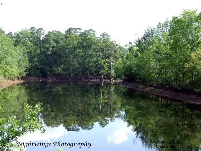 Rapides Parish - Clearwater - Bayou Cocodrie