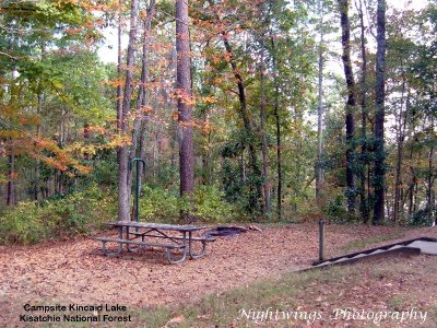 Rapides Parish - Gardner - Kincaid Lake recreation area - forest service campsite