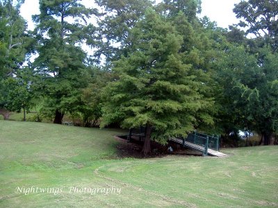 Rapides Parish - Gardner - Susans Cottages grounds