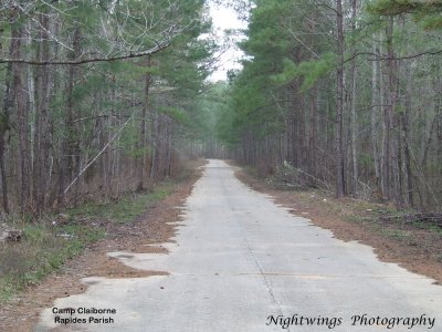 Rapides Parish - Woodworth - Camp Claiborne back road