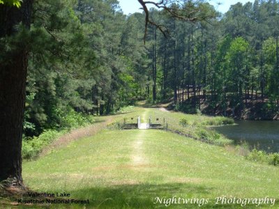 Rapides Parish - Gardner - Valentine Lake 