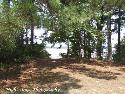 Rapides Parish - Cleco Lake
