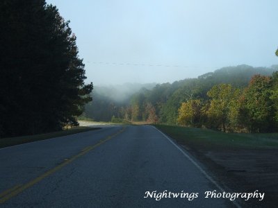 Rapides Parish - Rapides LA 8
