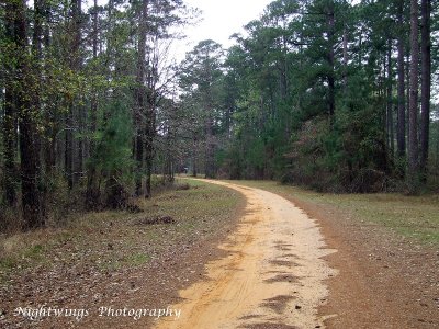 Rapides Parish - Woodworth  Indian Creek