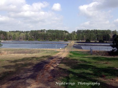 Rapides Parish - Woodworth fish hatchery