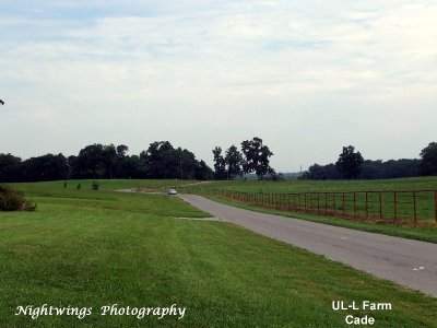 Iberia Parish - Cade - University Louisiana - Lafayette  farm