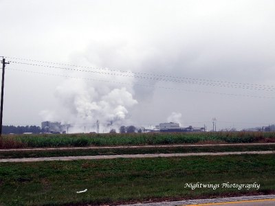 Iberia Parish - Patoutville - M A Patout Sugar mill