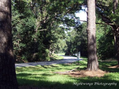 Iberia Parish - Weeks Island 