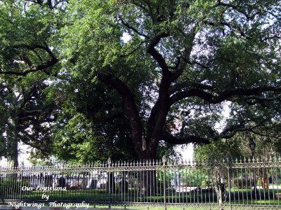 Orleans Parish - New Orleans - Jackson Square