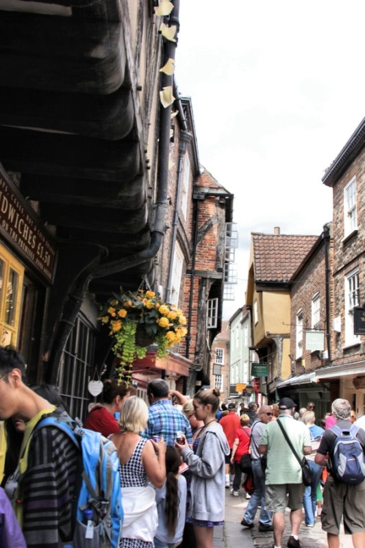 The Shambles