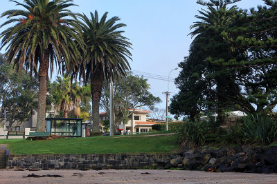 #30 View of my house from the beach