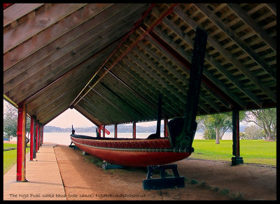 The Nga Puhi waka taua (war canoe)