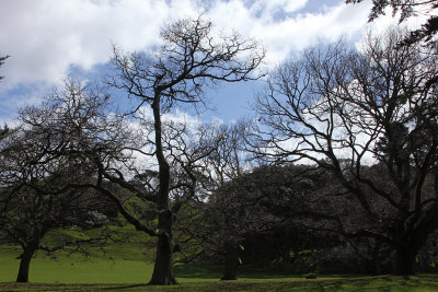 Spring is on the way