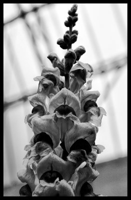 #27 - B+W