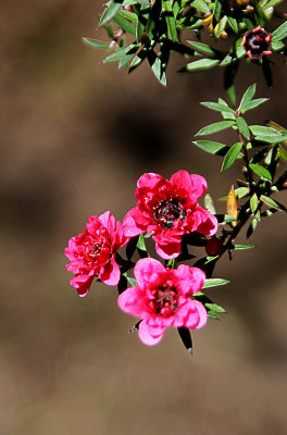 g9/97/771497/3/154294721.yPm2TbP8.jpg
