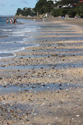 Waves on the Sea Shore
